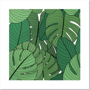 Monstera Posters and Art